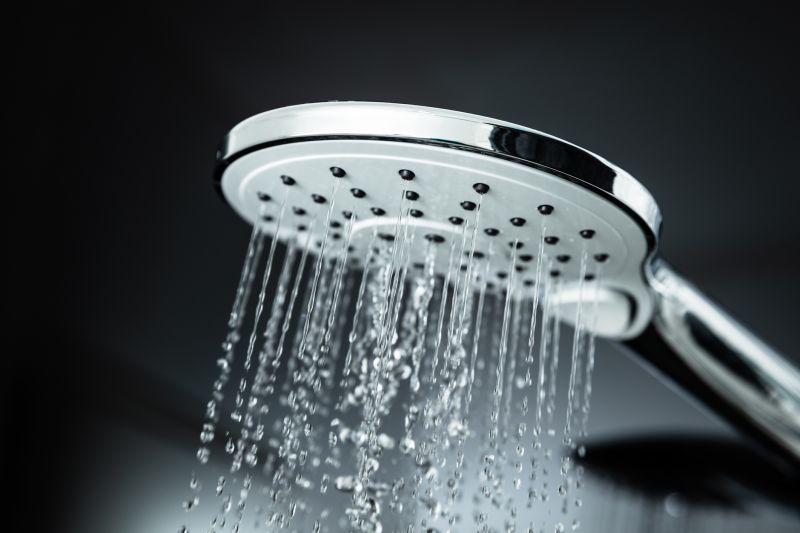 Shower with Multi-Function Rain Shower Head